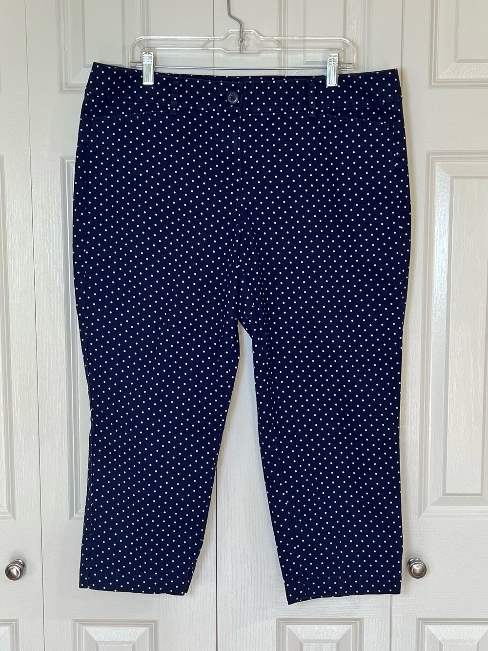 Ann Taylor Loft The Original Cropped Navy and White Polka Dot  Pants Size 14